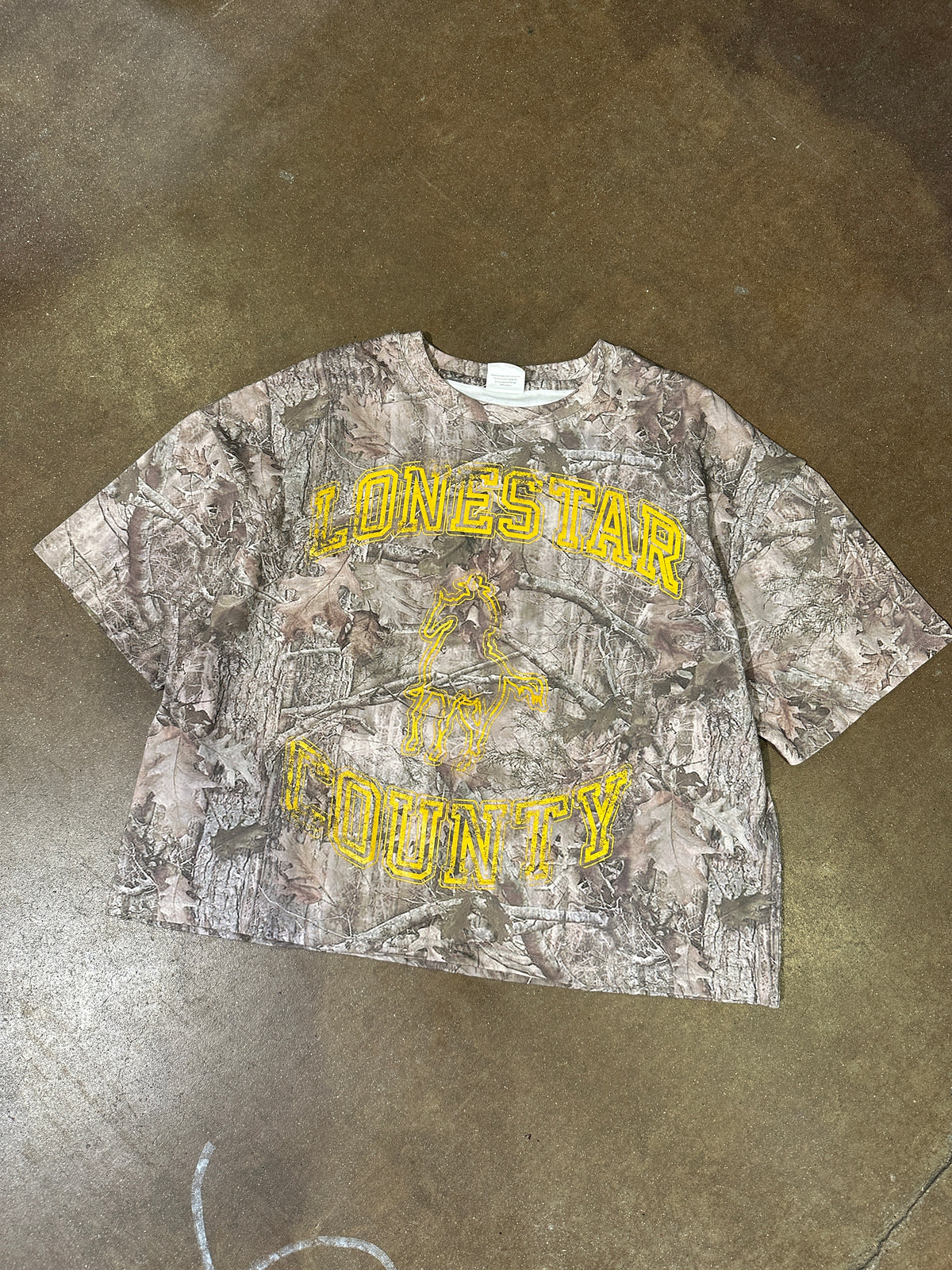 Lone Star County T-shirt